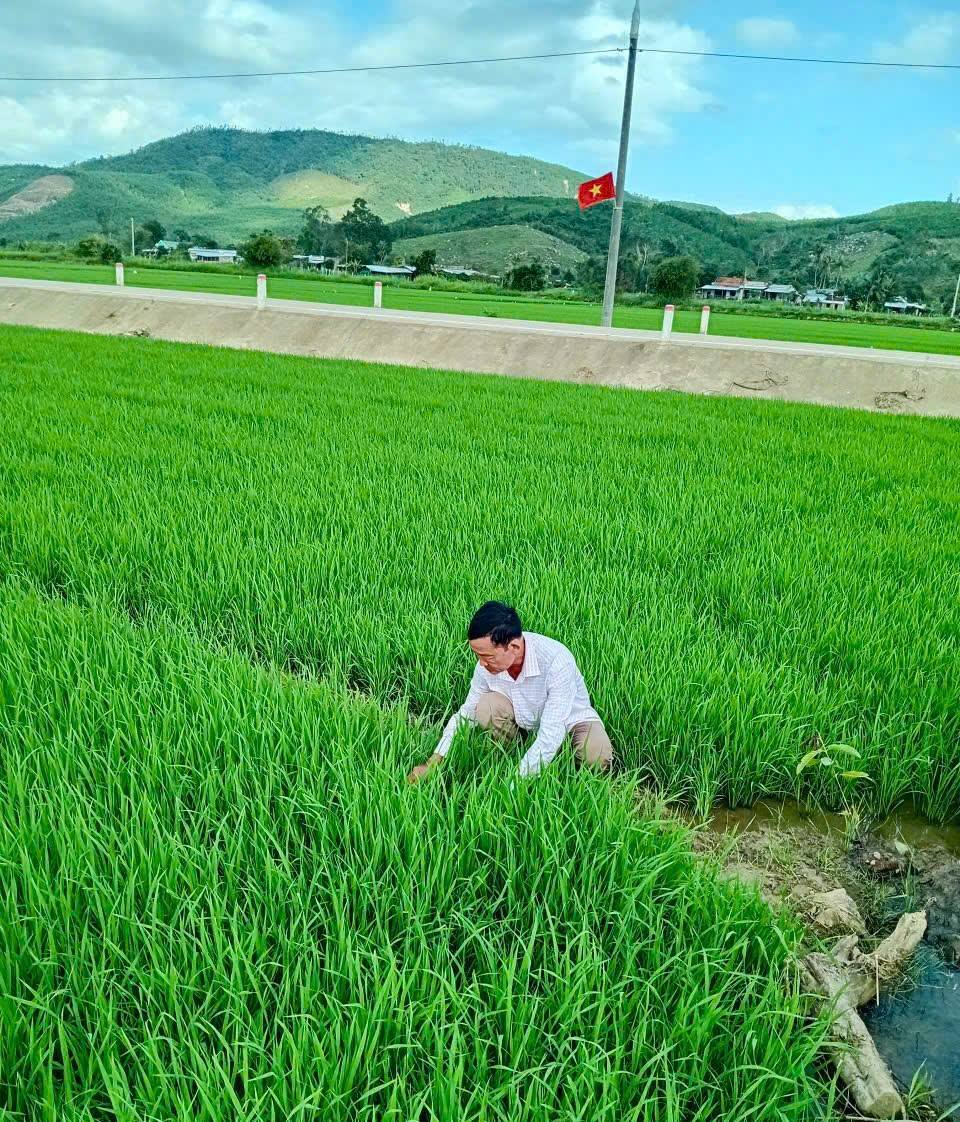 anh tin bai